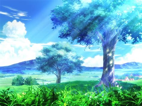We hope you enjoy our growing collection of hd images to use as a background or home screen for. HD Anime Trees Backgrounds Wallpaper | HD Latest Wallpapers