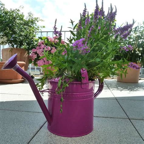 Watering Can Planters And Garden Art Recycle Your Watering Cans