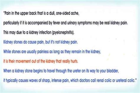 Kidney Pain Location Diagnosis And Treatment Hubpages