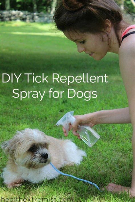 Diy Tick Repellent For Yard Homemade Tick Repellent Spray That Works