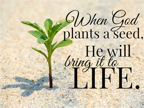 When God Plants A Seed He Will Bring It To Life Bravely Flourish
