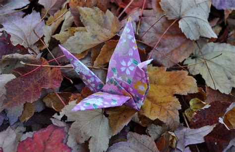 Large Chiyogami Origami Paper From Japan Etsy
