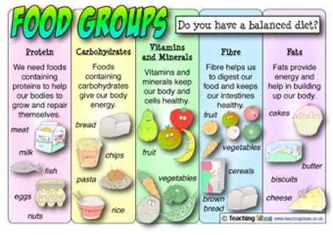 Fruit and vegetables, for example, apples, bananas and broccoli, give us vitamins to keep our bodies working and help our immune system and fibre to help our digestion. Food Groups Poster | Teaching Ideas