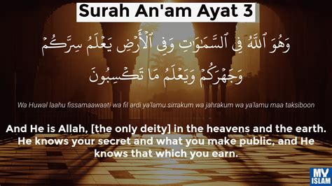 Surah Al Anam Ayat 165 6165 Quran With Tafsir My Islam
