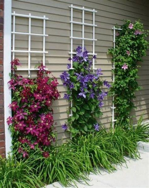 25 Beautiful Diy Trellis For Small Garden Homemydesign