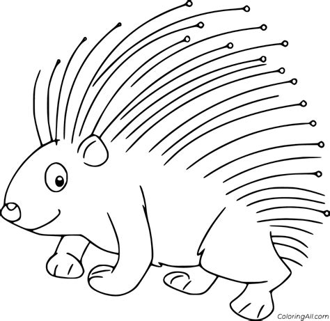 17 Free Printable Porcupine Coloring Pages Easy To Print From Any