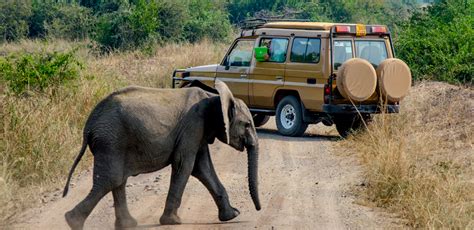 13 Day Uganda Tour Adventure Uganda Safari