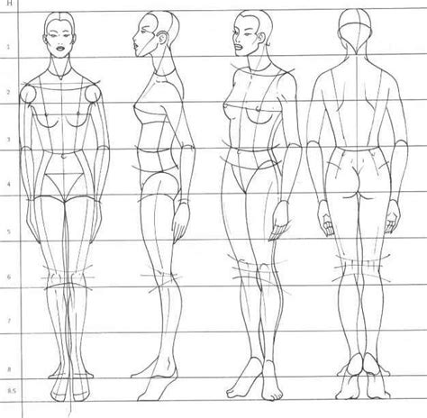 Details More Than 64 Body Proportions Drawing Best Vn