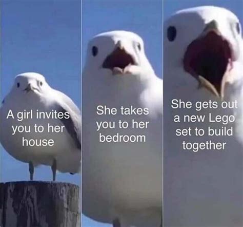 A Girl Invites You To Her House She Takes You Meme