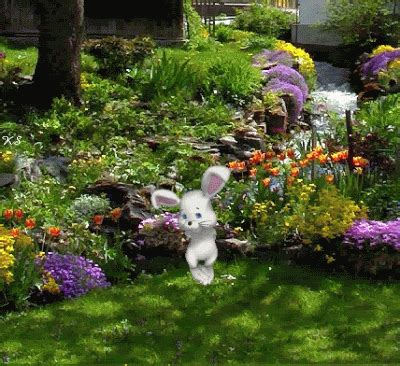 Hier sind die schönsten pfingstgrüße und sprüche zum versenden an ihre liebsten: Blumen für Dich 9119 - GB Pics, GB Bilder, Gästebuchbilder ...