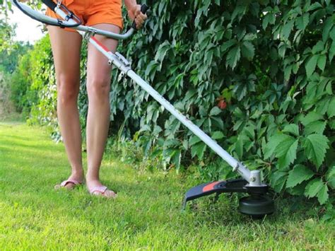 Top 7 Best Corded Electric String Trimmers Rated And Reviews In 2019