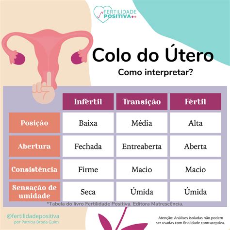 colo do Útero como interpretar fertilidade positiva