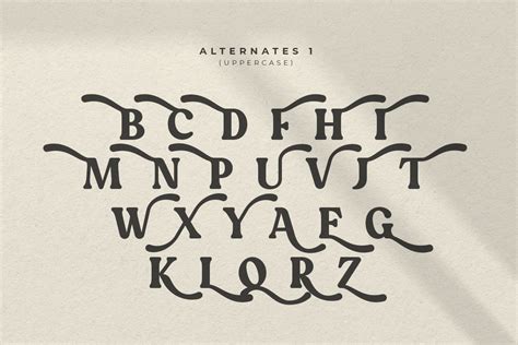 Quinnie Vintage Retro Serif Font Sensatype Studio