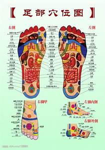Reflexology Chart Pituitary Gland Adrenal Glands Foot Zoning
