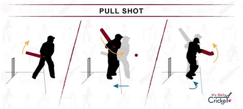 Learn 8 Basic Cricket Shots How To Play As A Beginner