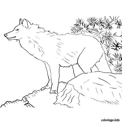 Coloriage Loup Dessin Animaux à Imprimer