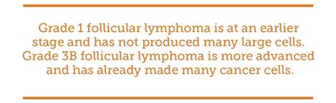 Understanding Stages Of Follicular Lymphoma Mylymphomateam