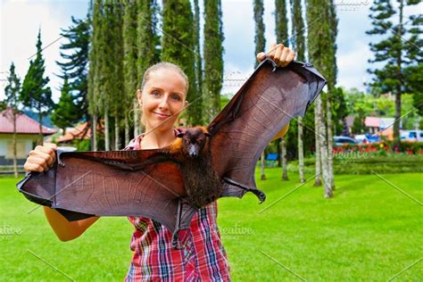 Girl Holding Giant Flying Fox High Quality Animal Stock Photos