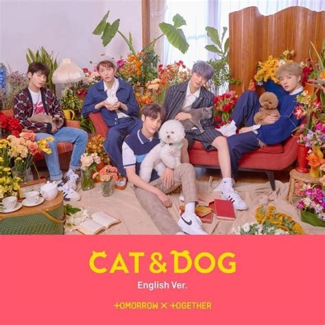 Txt Cat And Dog English Lyrics Rykerkruwgriffith