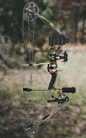 Predator Archery Raptor Compound Bow Review Archerystreet Com