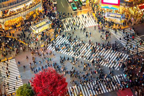 Shibuya Crossing Tokyo Japan 스톡 사진 Adobe Stock