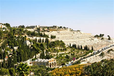 2023 Spring Israel Discovery Tour With William Schaefermeyer