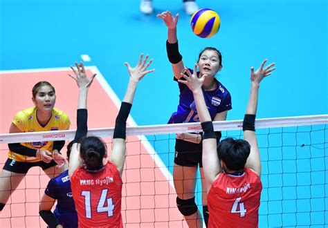 asian women s volleyball championship 2019 thai pbs world the latest thai news in english