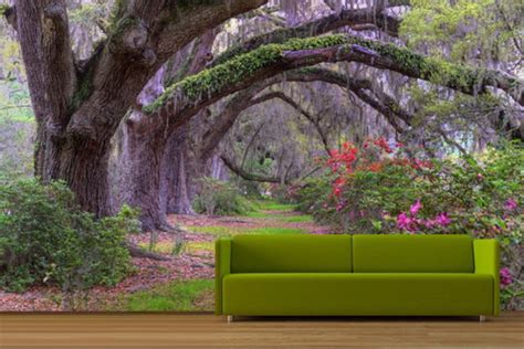 Free Download Enchanted Forest Wallpaper Mural For Living Room