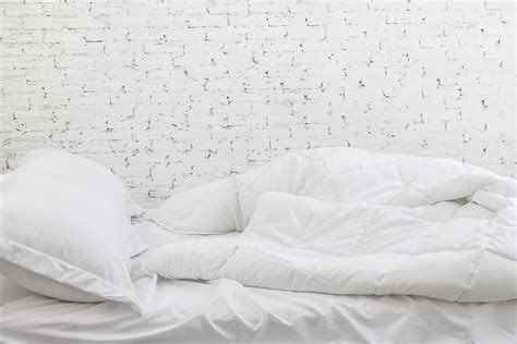 Earthly Pure White Bedding Sheets And Pillow White Bed Sheets White