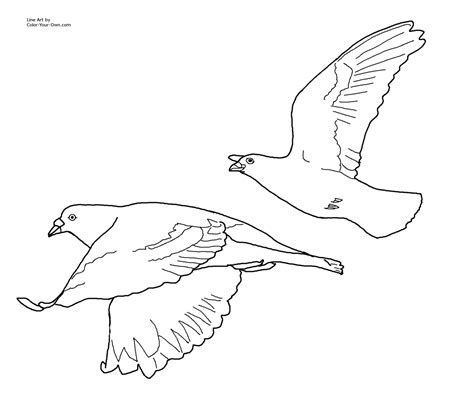 Flying Bird Coloring Pages