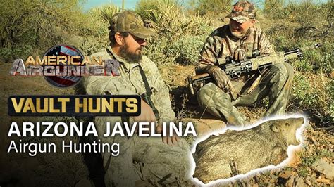 Arizona Javelina Air Rifle Hunting Vault Hunts Youtube