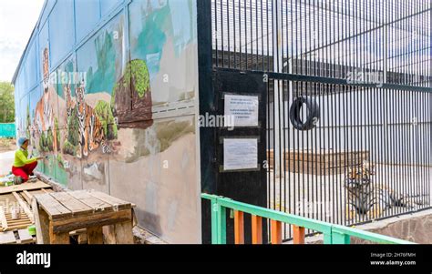 Tiger Cages Hi Res Stock Photography And Images Alamy