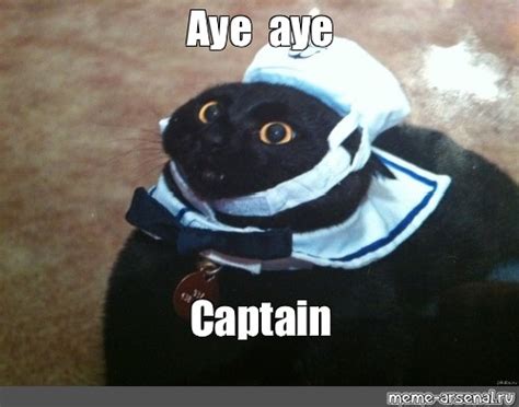 Meme Aye Aye Captain All Templates Meme