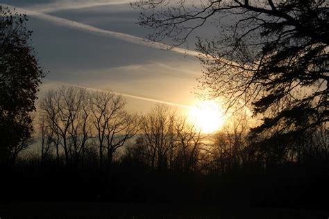 Images Gratuites Paysage Arbre La Nature Branche Nuage Plante