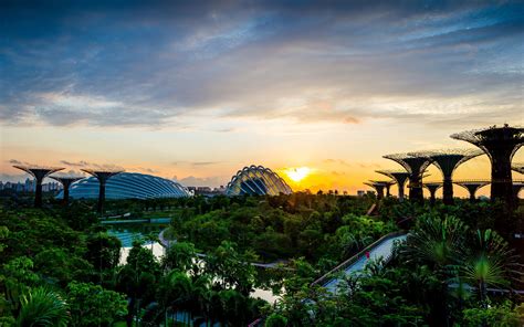 Singapore Gardens By The Bay Wallpaper Supertrees Gardens By The Bay
