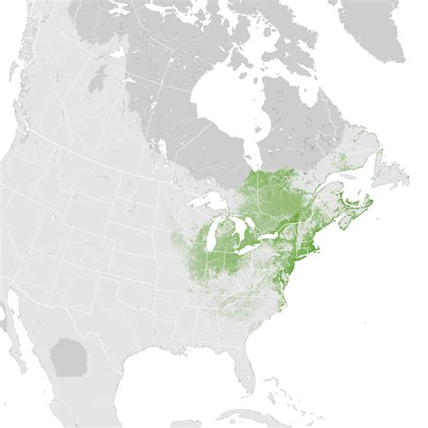 American Black Duck Abundance Map Pre Breeding Migration Ebird