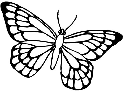 Una Farfalla In Volo Da Colorare Disegni Da Colorare E Stampare