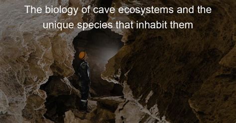 The Biology Of Cave Ecosystems And The Unique Species That Inhabit Them