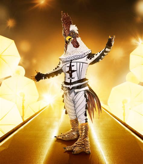 The Masked Singer New Mask Can Keep Season 5 Galaxy Well Guarded