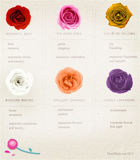 Complete Guide To Rose Colors And Their Meaning Everyday Dishes