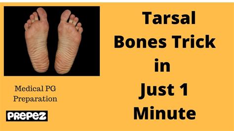 Mnemonic To Remember Tarsal Bones In Just 1 Min Youtube