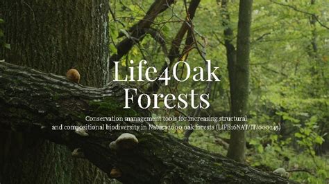Life 4 Oak Forests Life16natit000245 Természetvédelmi Kezelési