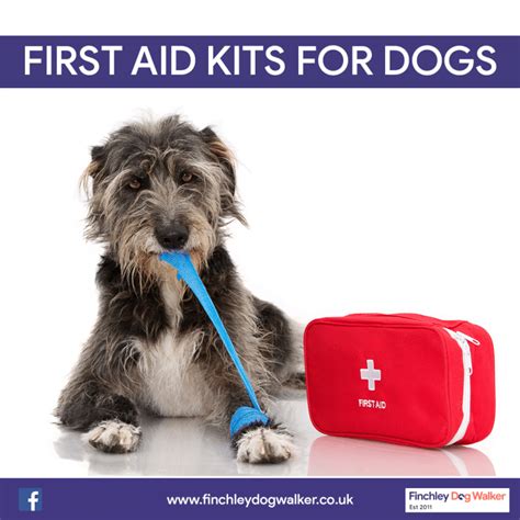 15 Dog First Aid Kit Essentials Finchley Dog Walker