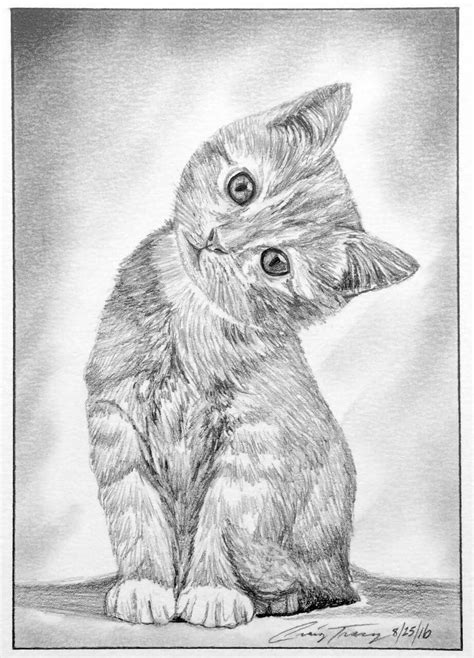 Sketch Of A Kitten By Craig Tracy Cats Art Drawing Kitten Drawing