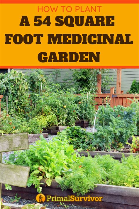 54 Square Foot Medicinal Garden Plan Garden Planning Healing Herbs
