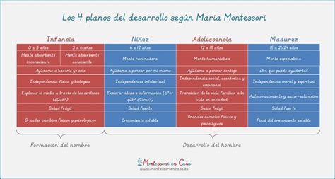 Los 4 Planos Del Desarrollo The 4 Planes Of Development Montessori