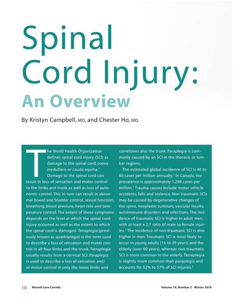 Spinal Cord Injury An Overview Docslib