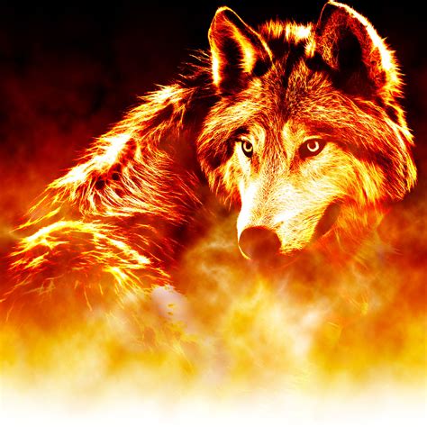 Fire Wolf Wallpapers Top Free Fire Wolf Backgrounds Wallpaperaccess