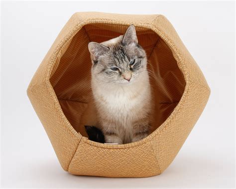 Modern Cat Furniture The Cat Ball A Hexagonal Cat Bed Made In