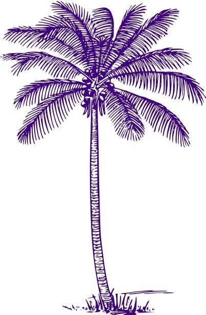 Palm Tree Svg Clip Arts Palm Tree Outline Transparent Png Download